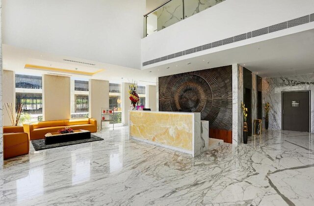 バギニ アイコン プレミア