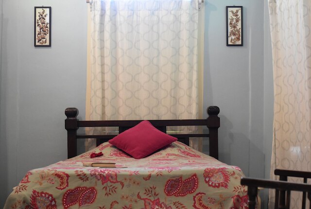 フレンチ ハベリ