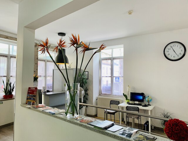 アーバン ガーデン ポルト セントラル ホステル