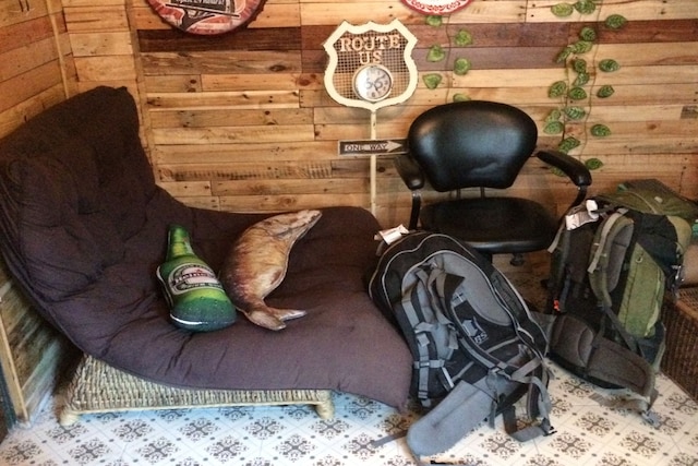 ステイング ホステル