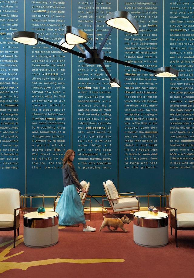 ヴァイスロイ シカゴ