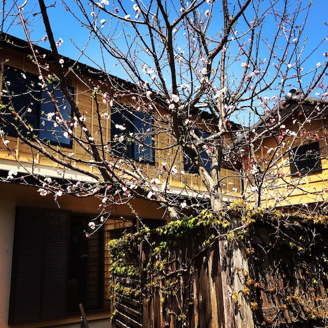 ゲストハウス鎌倉 ZEN - JI