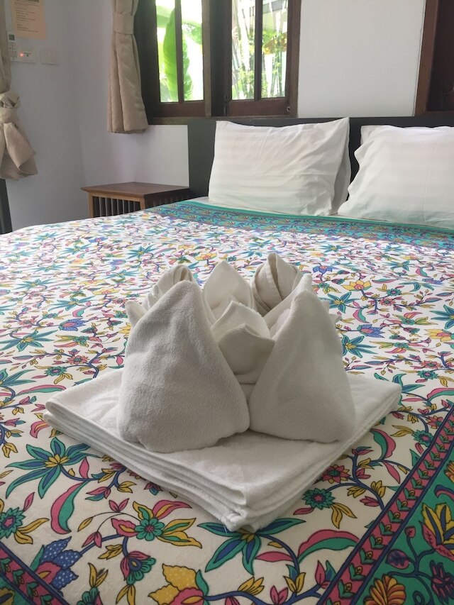 ベンジャミン ハット