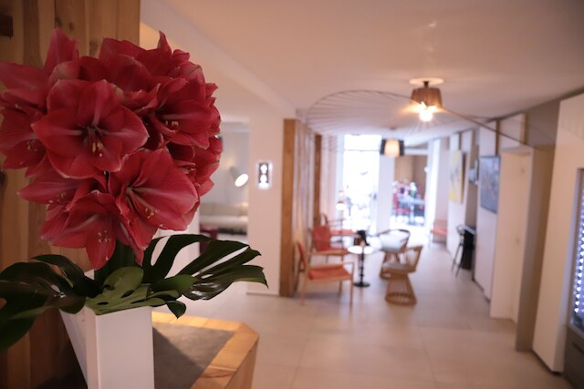 ホテル ブラジル オペラ スパ