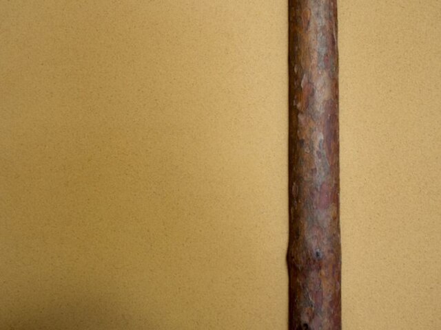 数寄屋・末広の家