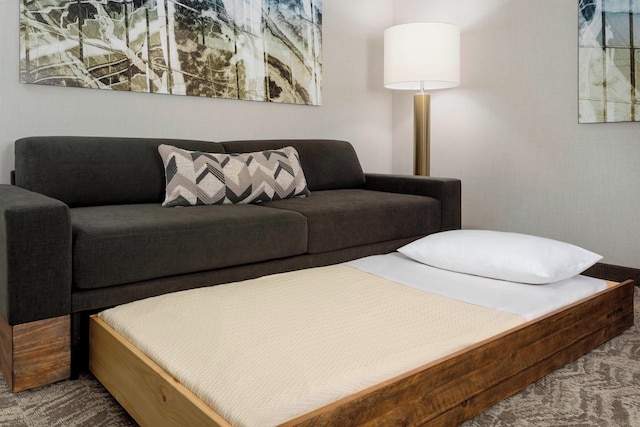 スプリングヒル・スイート・ベルモント・レッドウッド・ショアーズ