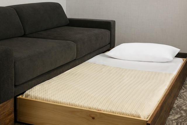 スプリングヒル・スイート・ベルモント・レッドウッド・ショアーズ