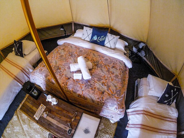 ザ バードハウス エル ニド - グランピング