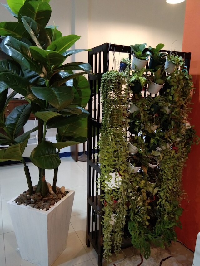 ビュータレー 6 バイ パット 42