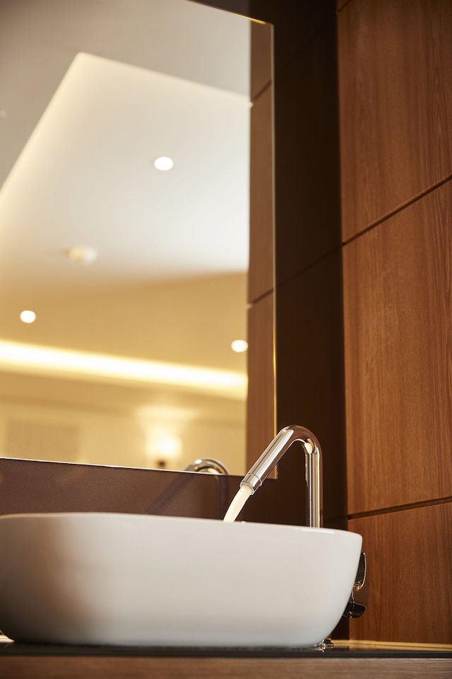 ライオン ホテル