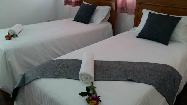 ハリントン コート