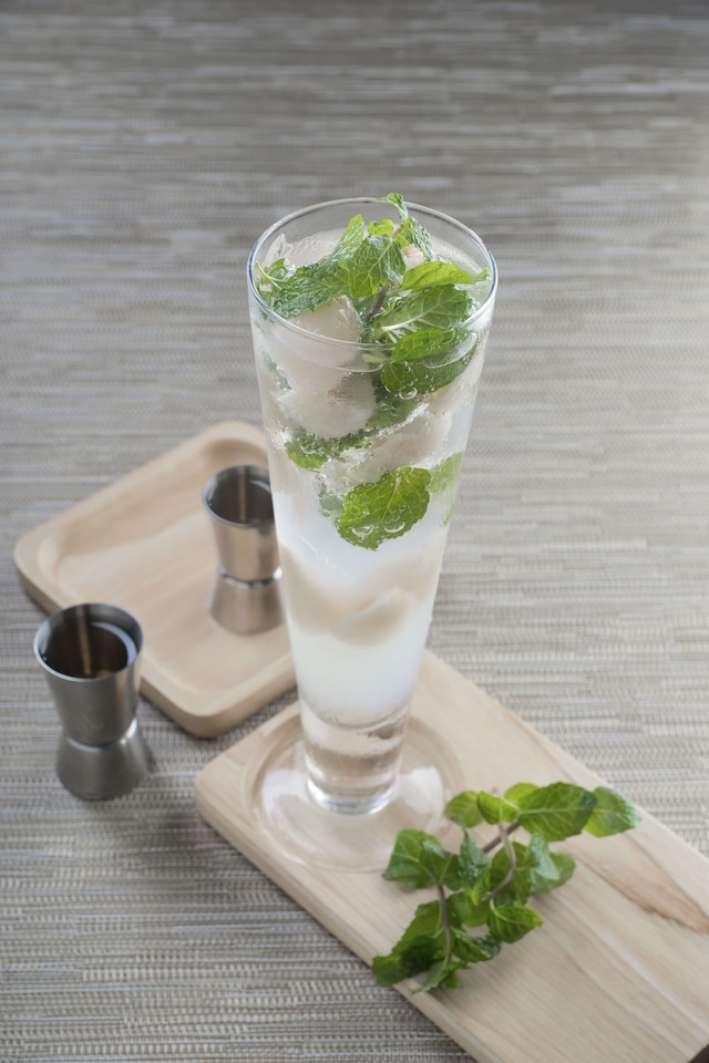 グランド ヴィヴェアナ ホテル