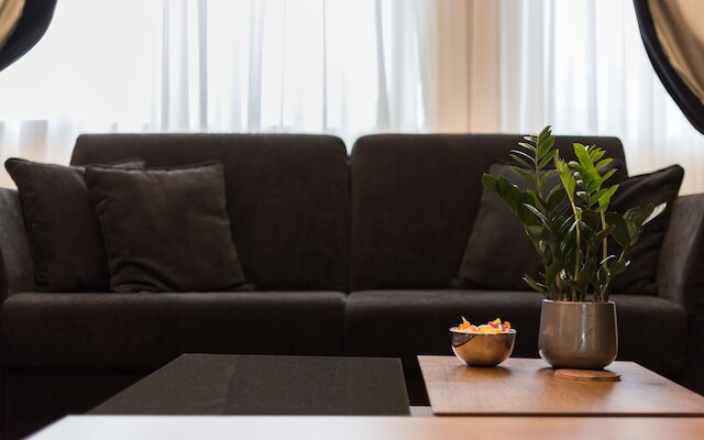 アクロポリスラグザリーリビング