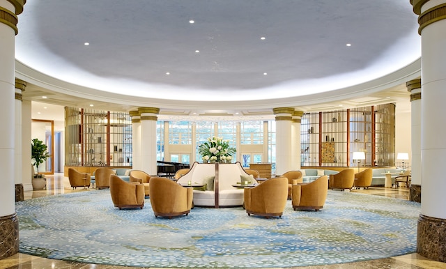 サラマンダー ワシントン DC