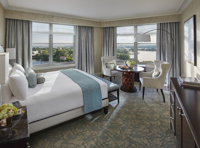 サラマンダー ワシントン DC