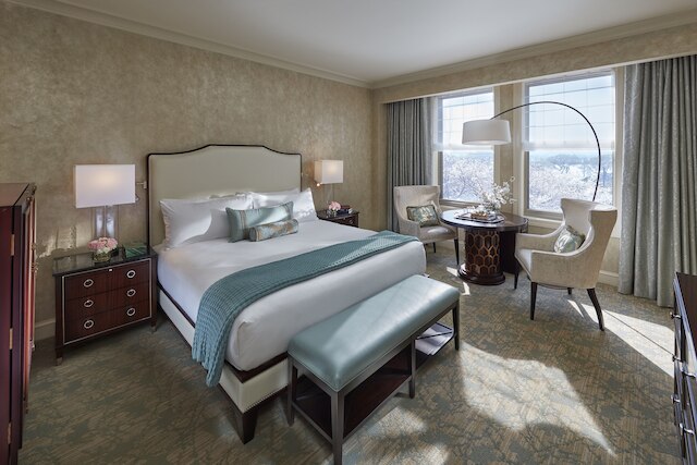 サラマンダー ワシントン DC