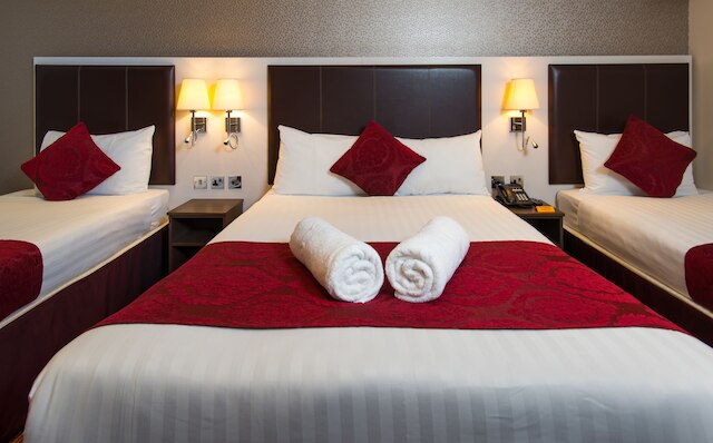 コンフォート イン バッキンガム パレス