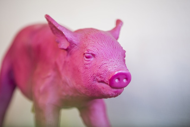 アウスツァイト ホテル – ダス フリューストゥックホテル