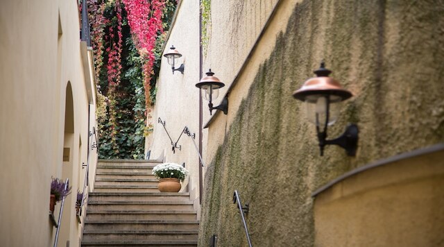 ザ ゴールデン ウィール