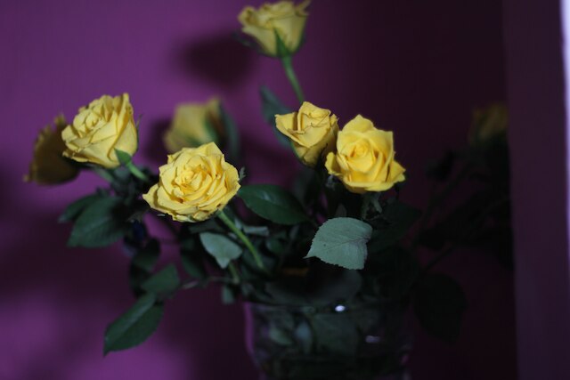 ホテル カールトン