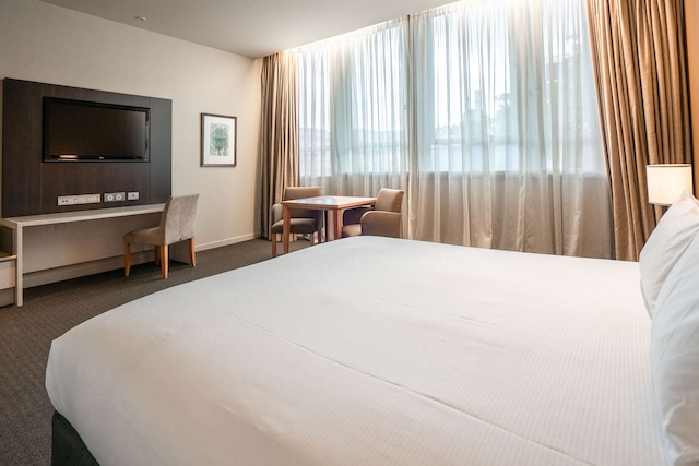 シーニック ホテル ダニーデン シティ