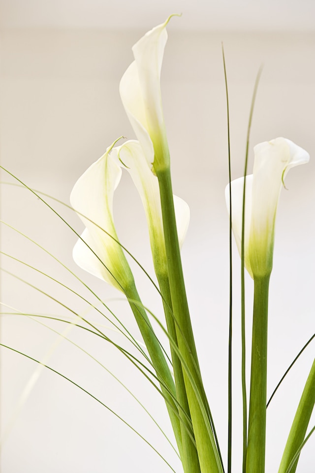 アリオン アテネ ホテル