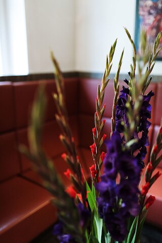 サボイ ホテル アムステルダム