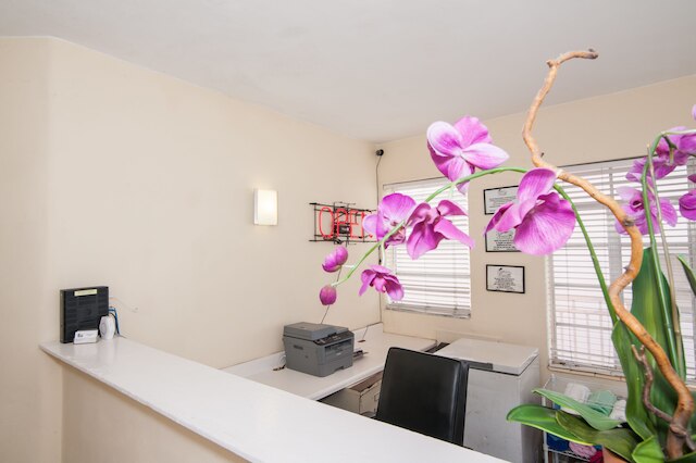 アイランド ハウス サウス ビーチ