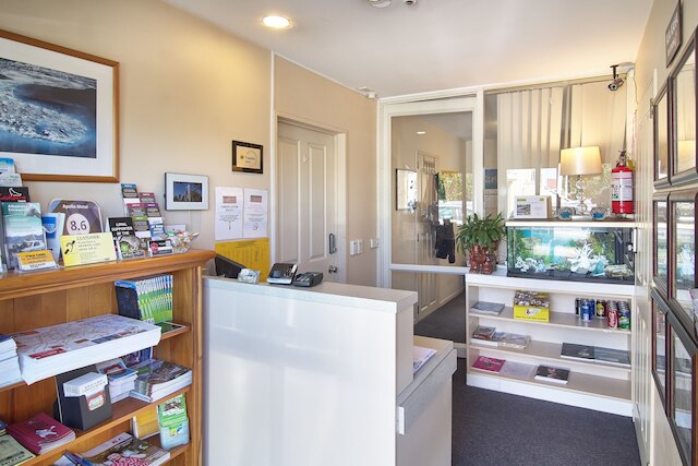 アポロ モーテル クライストチャーチ