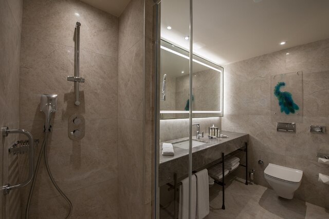 ダブルツリー バイ ヒルトン ホテル イスタンブル - シルケジ