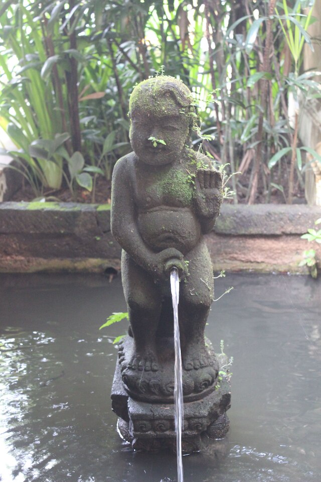 ザ スング リゾート & スパ