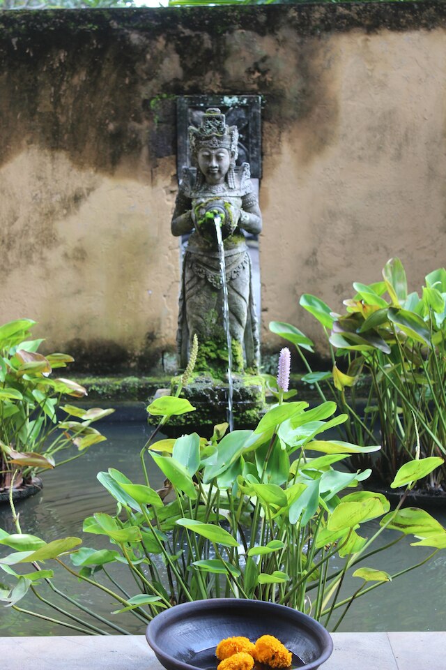 ザ スング リゾート & スパ