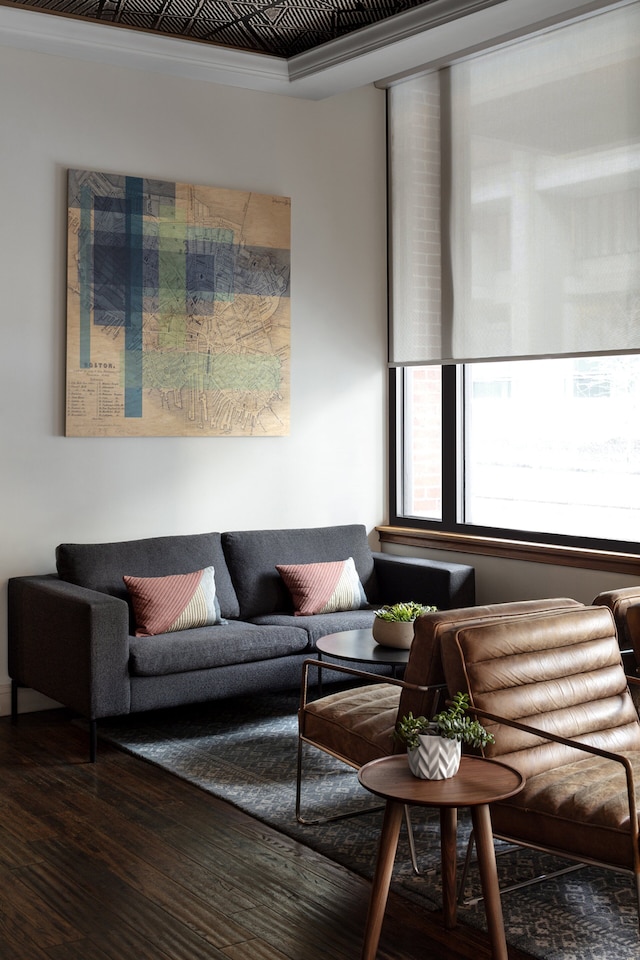 ユーロスターズ ザ ボクサー