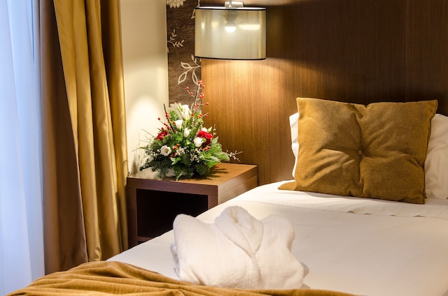 ホテル デュアス ナソエス