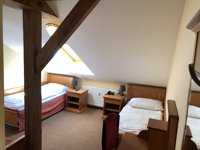 ペンション ブジェジナ プラハ