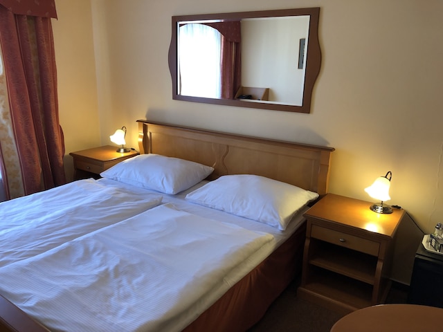 ペンション ブジェジナ プラハ