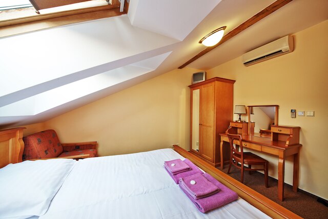 ペンション ブジェジナ プラハ