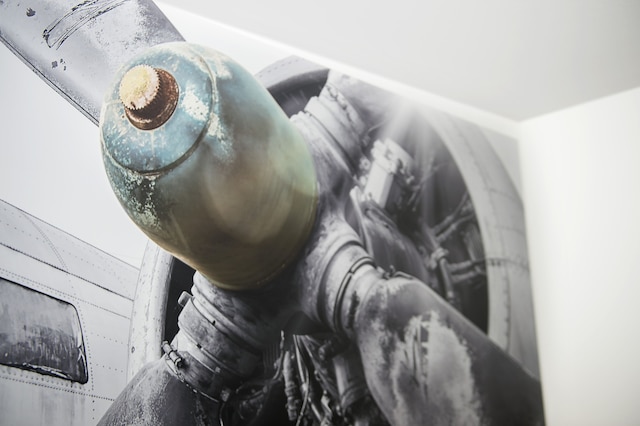 キリアド アヌマス - ジュネーブ