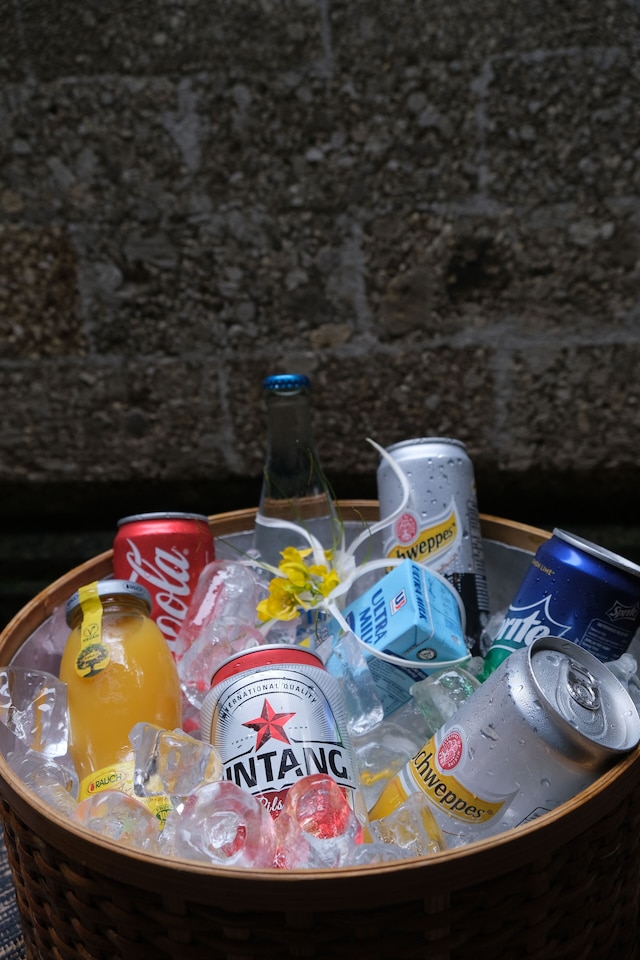 タナガジャ, ハディプラナによるリゾート