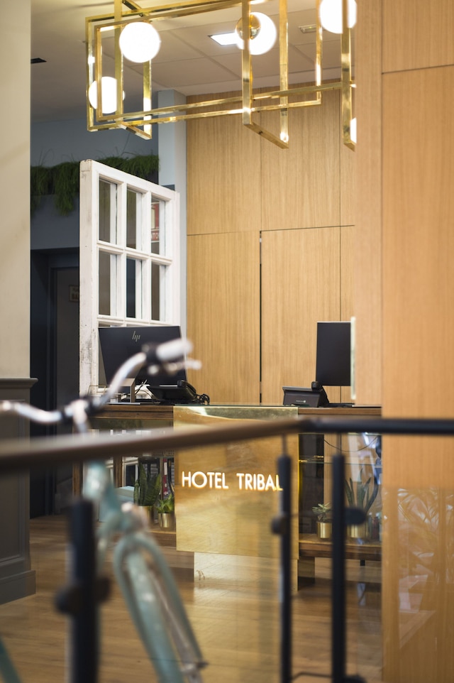 プチ パレス トリバル