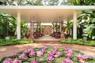 FCC アンコール、アヴァニ