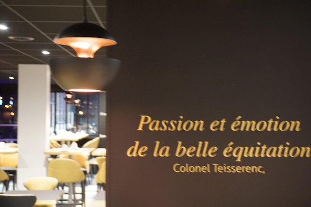 メルキュール ボール ド ロワール ソミュール