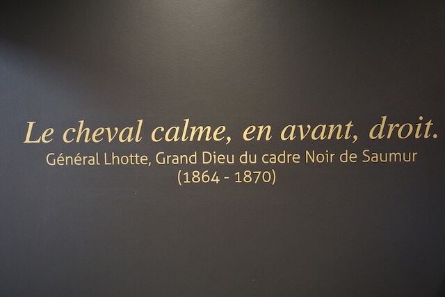 メルキュール ボール ド ロワール ソミュール