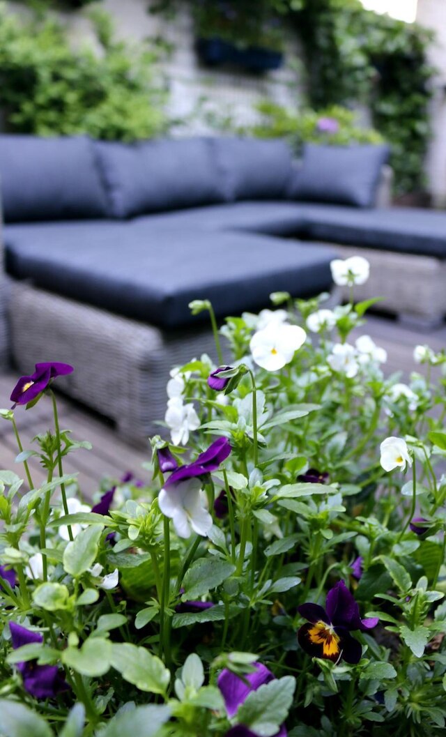 Max Hotel Amsterdam（マックスホテルアムステルダム）