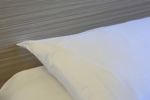 シアン ホテル ロワシー ヴィルパント パルク デ ゼクスポジション