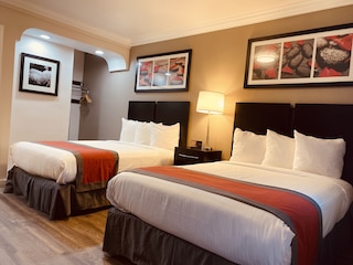 ザ レックスマー ドジャー スタジアム ハリウッド