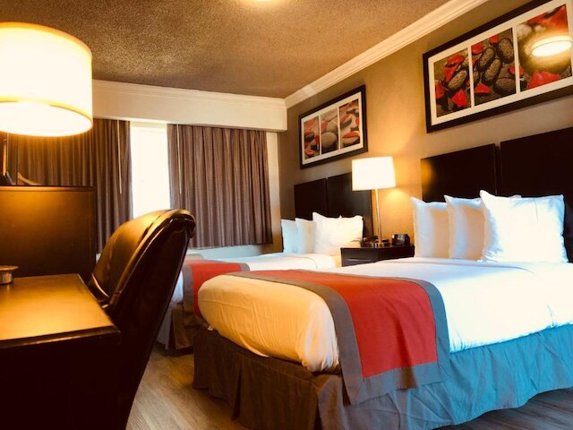 ザ レックスマー ドジャー スタジアム ハリウッド