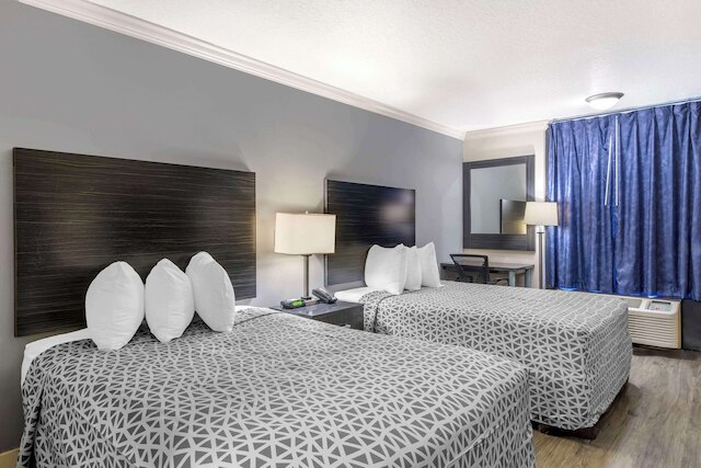 サバーバンスタジオズインターナショナルドライブ