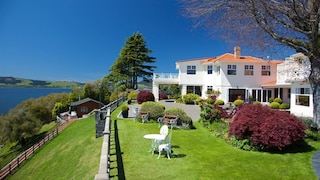 オン・ザ・ポイント - レイクロトルア