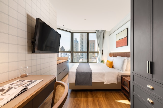 ダッシュ リビング オン ハリウッド